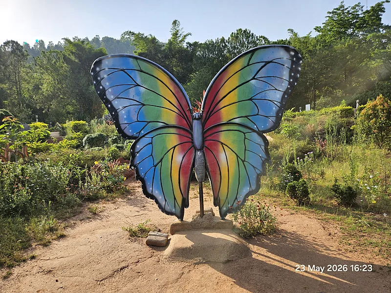 Butterfly Park