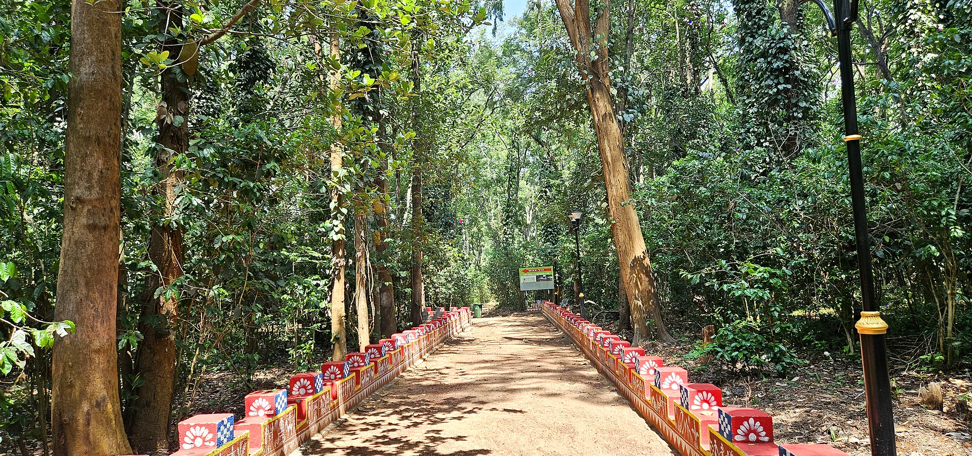 Daringbadi visitor route landscape