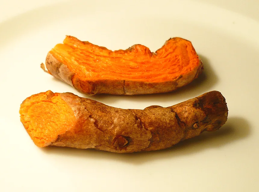 Fresh turmeric rhizome for Kandhamal Haladi page