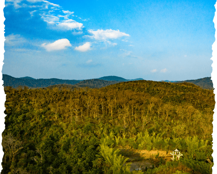 About Daringbadi