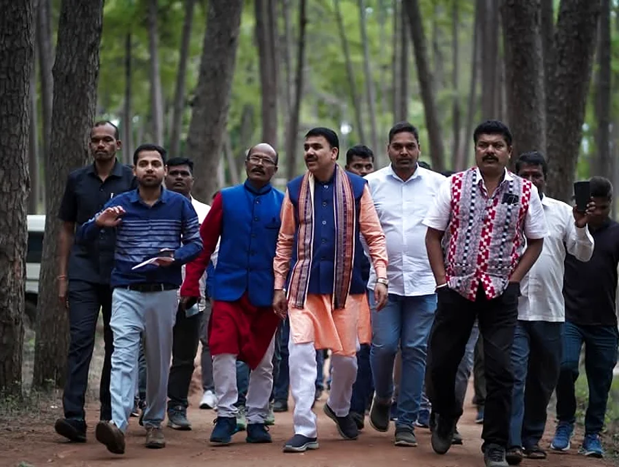 Pine Forest route pairing near Daringbadi strawberry farms